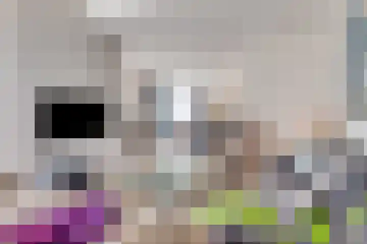 Nieuwe Erven 26 Heesch thumbnail 12