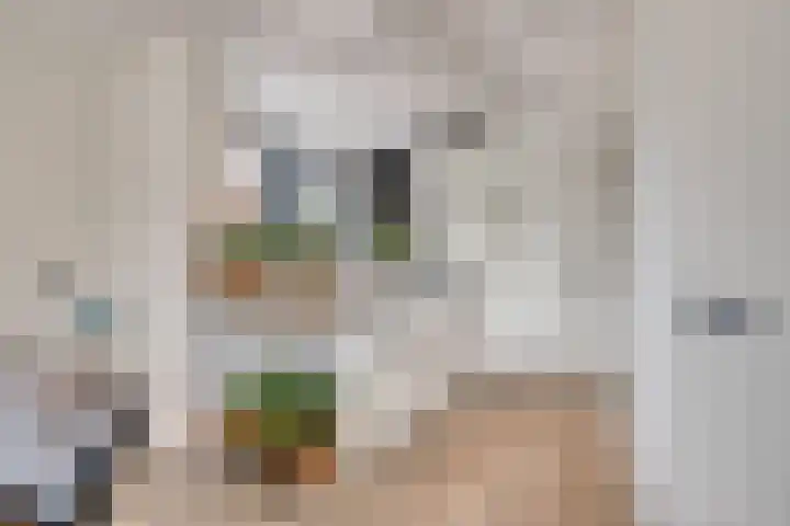 Nieuwe Erven 26 Heesch thumbnail 16