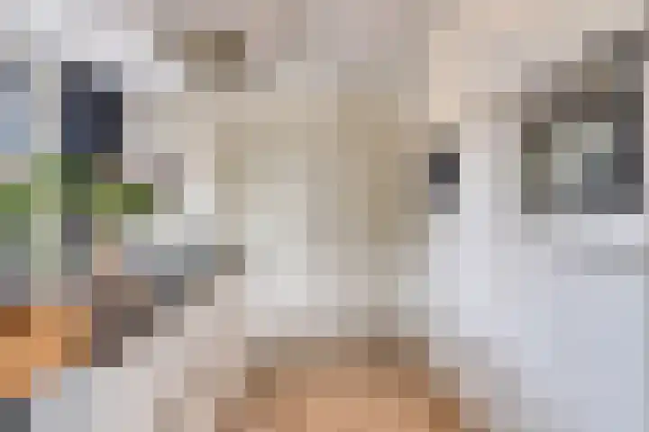 Nieuwe Erven 26 Heesch thumbnail 17