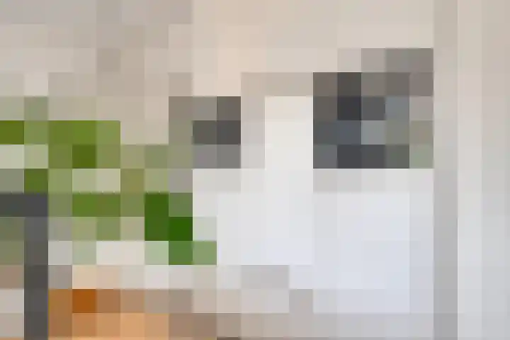Nieuwe Erven 26 Heesch thumbnail 18