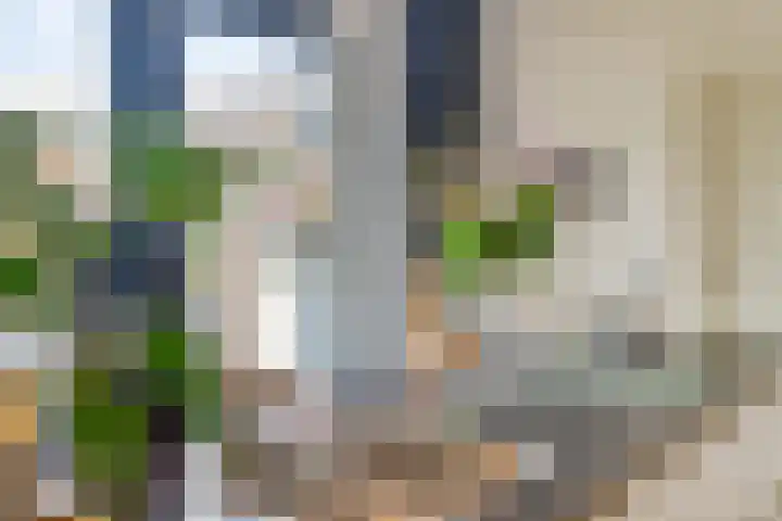 Nieuwe Erven 26 Heesch thumbnail 19