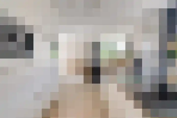 Nieuwe Erven 26 Heesch thumbnail 20