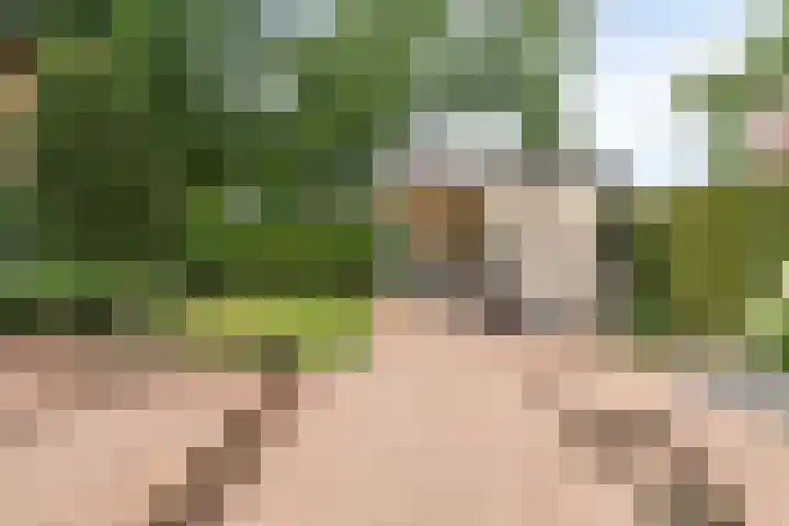 Nieuwe Erven 26 Heesch thumbnail 38