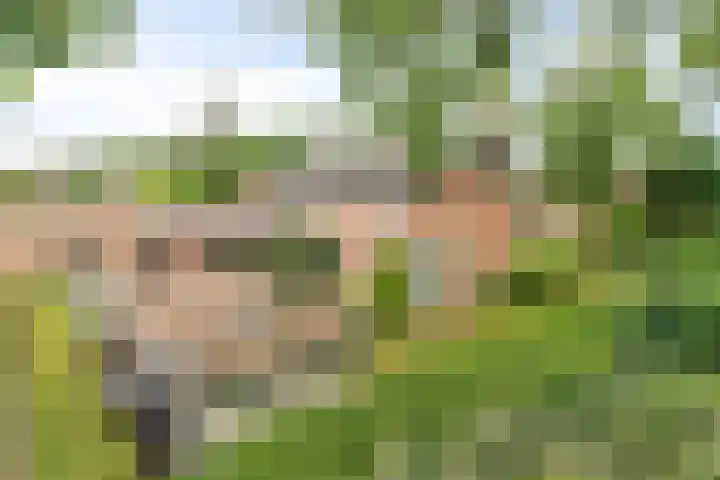 Nieuwe Erven 26 Heesch thumbnail 43