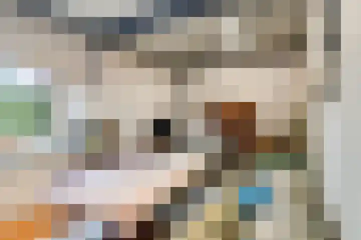 Nieuwe Erven 26 Heesch thumbnail 50