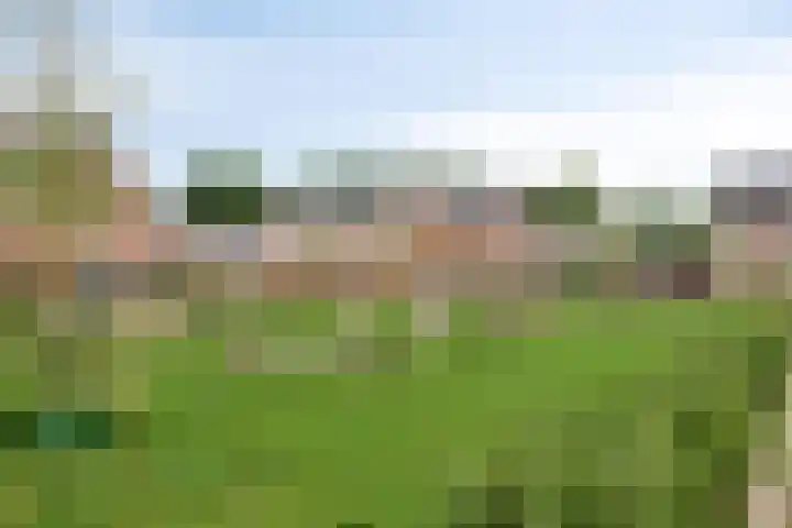 Nieuwe Erven 26 Heesch thumbnail 54