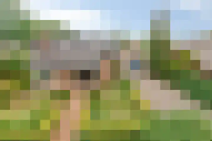 Nieuwe Erven 26 Heesch thumbnail 6
