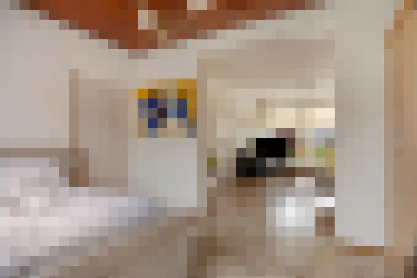 Nieuwe Erven 6 Liempde thumbnail 11
