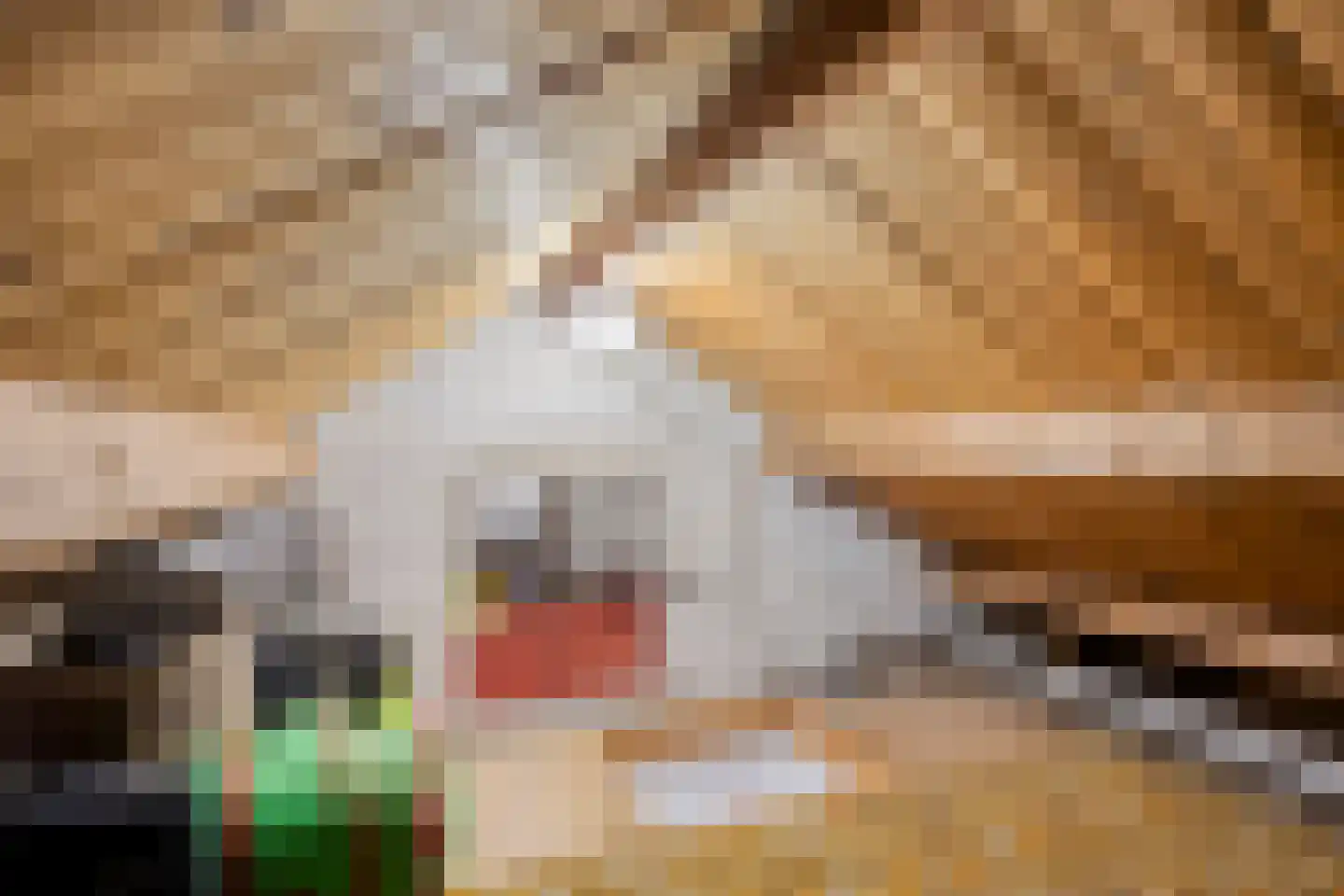 Nieuwe Erven 6 Liempde thumbnail 27