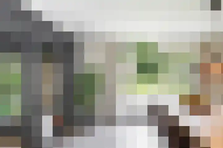 Nieuwe Erven 8 Rosmalen thumbnail 14