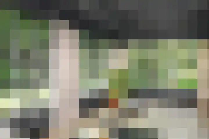 Nieuwe Erven 8 Rosmalen thumbnail 16