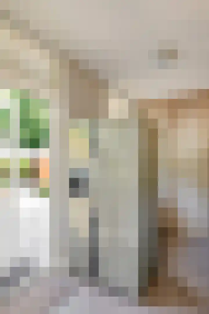 Nieuwe Erven 8 Rosmalen thumbnail 22