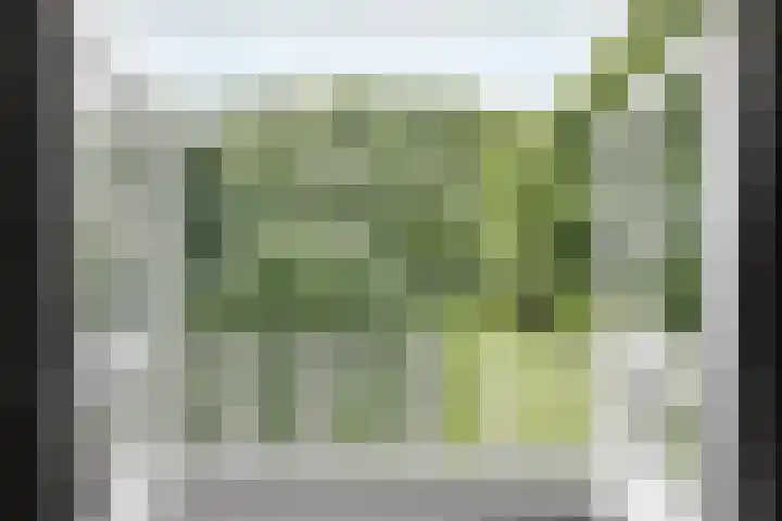 Nieuwe Erven 8 Rosmalen thumbnail 36