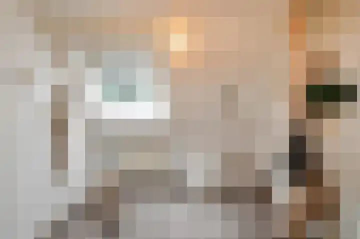 Nieuwe Erven 8 Rosmalen thumbnail 39