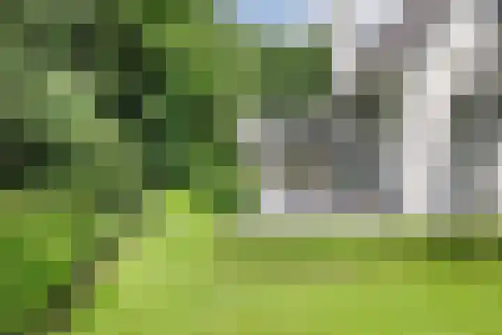 Nieuwe Erven 8 Rosmalen thumbnail 4