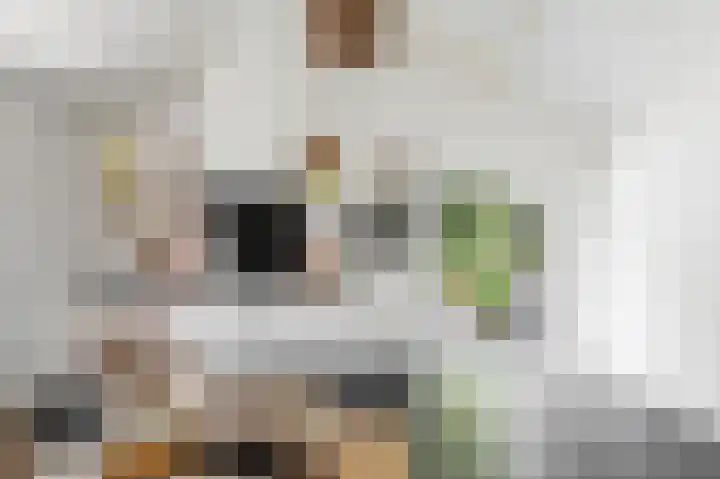 Nieuwe Erven 8 Rosmalen thumbnail 42