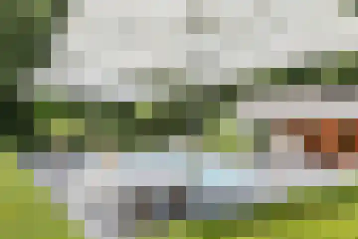 Nieuwe Erven 8 Rosmalen thumbnail 48
