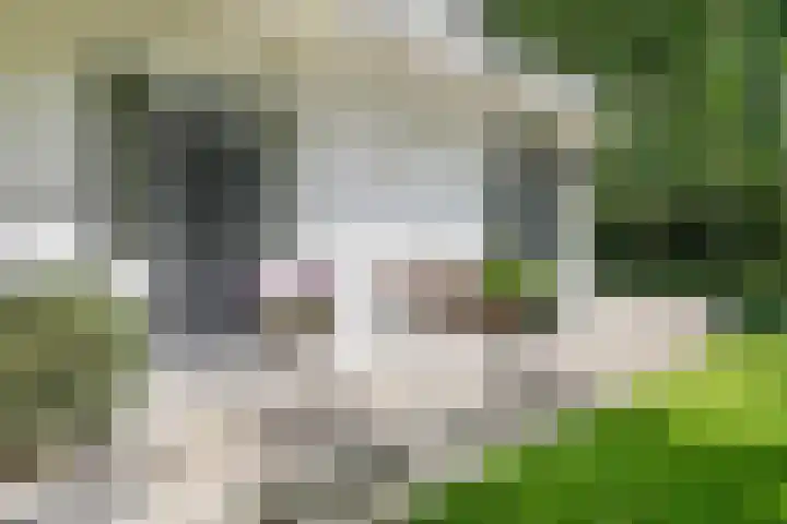 Nieuwe Erven 8 Rosmalen thumbnail 5