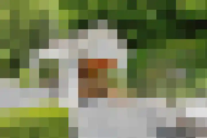 Nieuwe Erven 8 Rosmalen thumbnail 50