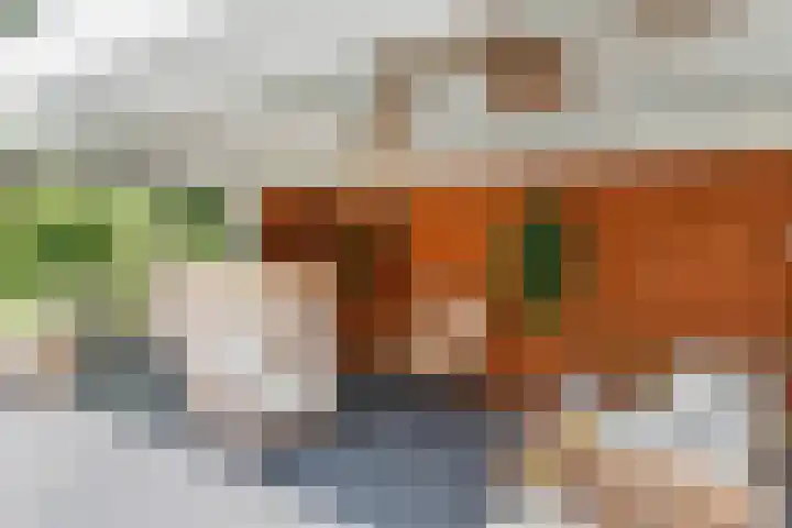 Nieuwe Erven 8 Rosmalen thumbnail 51