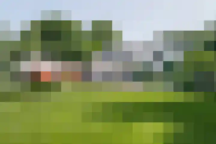 Nieuwe Erven 8 Rosmalen thumbnail 55
