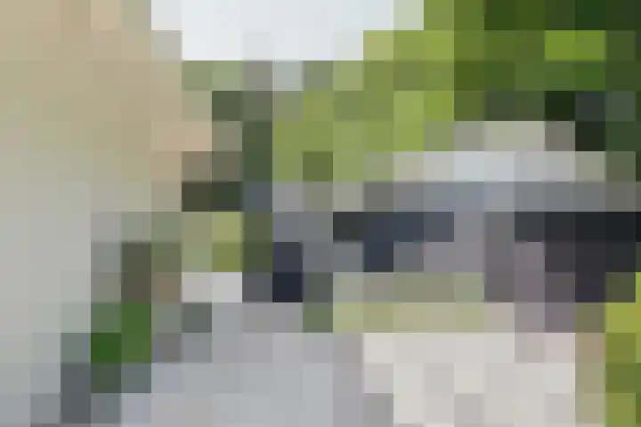 Nieuwe Erven 8 Rosmalen thumbnail 58