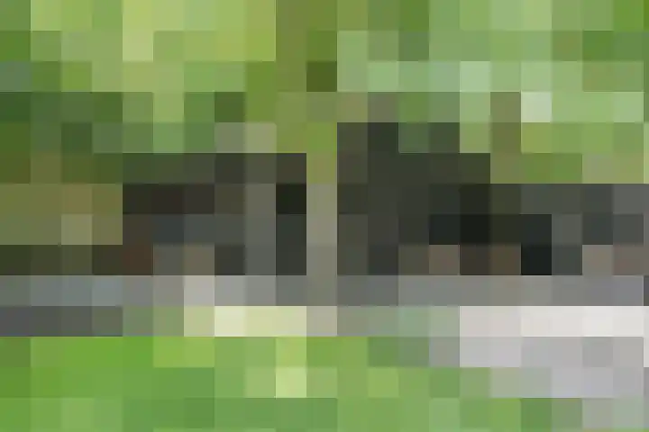 Nieuwe Erven 8 Rosmalen thumbnail 59