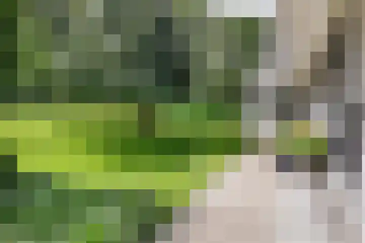 Nieuwe Erven 8 Rosmalen thumbnail 6