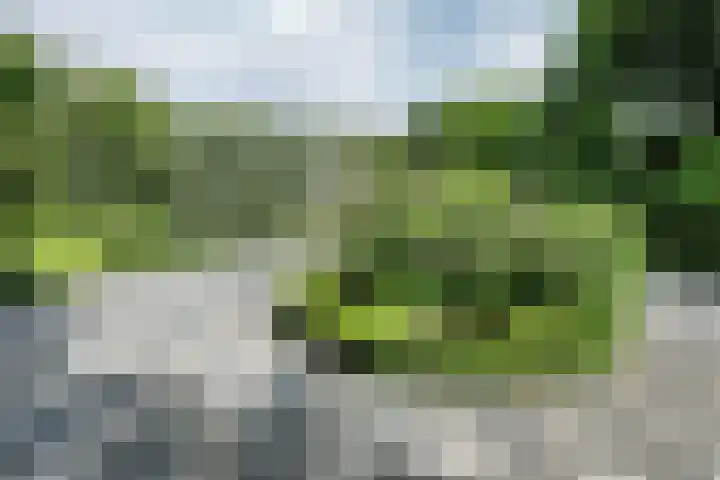 Nieuwe Erven 8 Rosmalen thumbnail 62