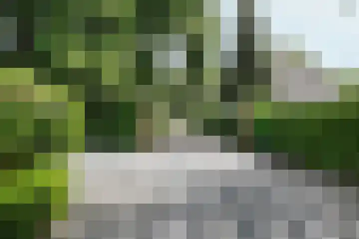Nieuwe Erven 8 Rosmalen thumbnail 63