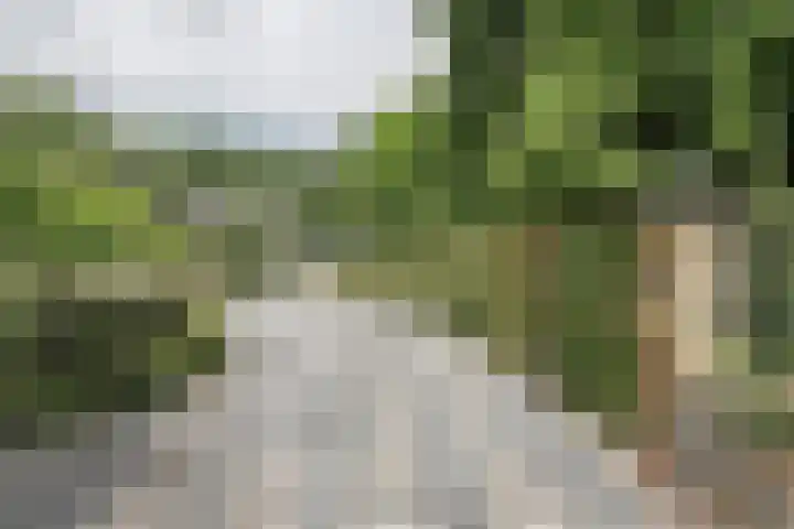 Nieuwe Erven 8 Rosmalen thumbnail 64