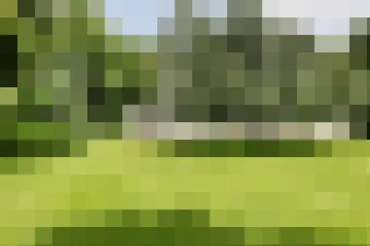 Nieuwe Erven 8 Rosmalen thumbnail 65
