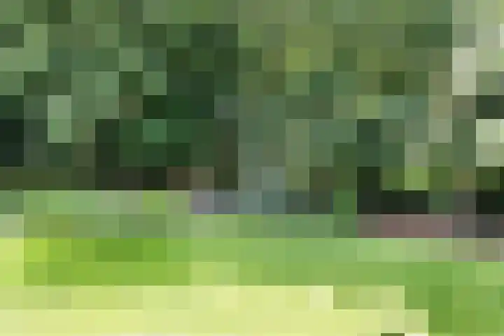 Nieuwe Erven 8 Rosmalen thumbnail 66