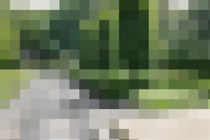 Nieuwe Erven 8 Rosmalen thumbnail 67