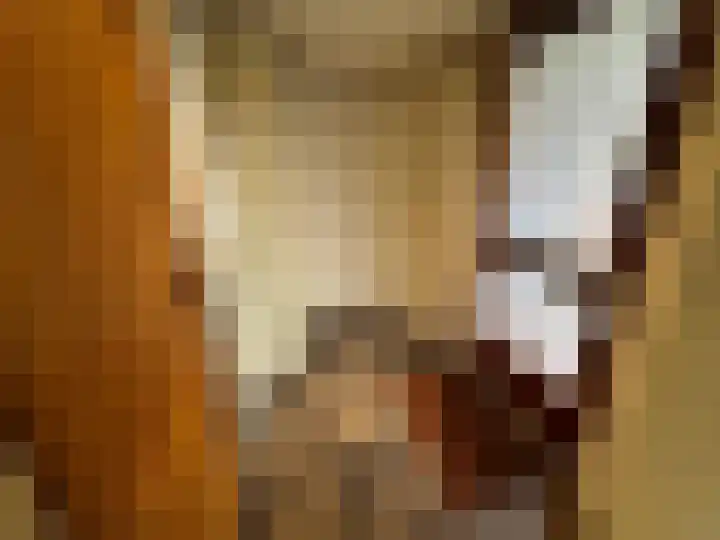 Nieuwe Es 18 Borne thumbnail 14