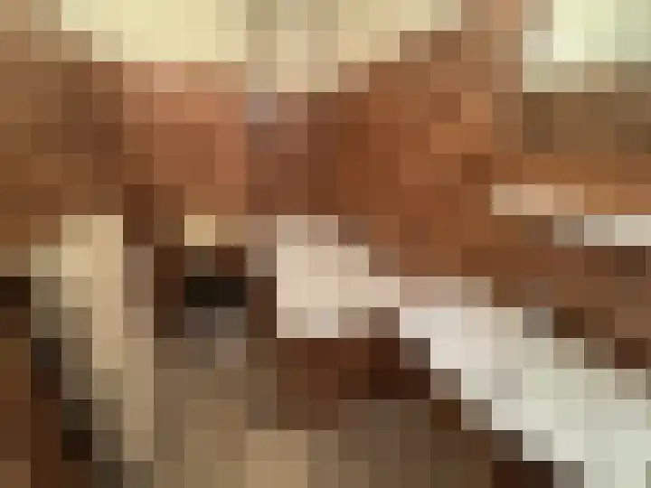 Nieuwe Es 18 Borne thumbnail 16