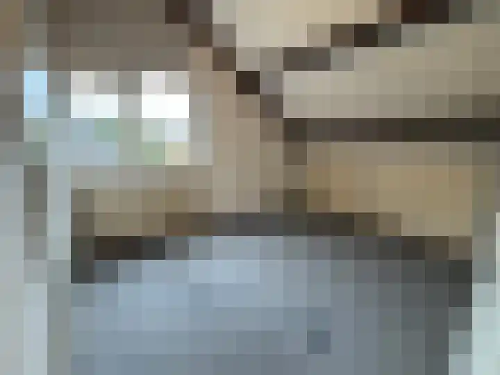 Nieuwe Es 18 Borne thumbnail 17