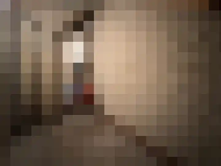 Nieuwe Es 18 Borne thumbnail 22