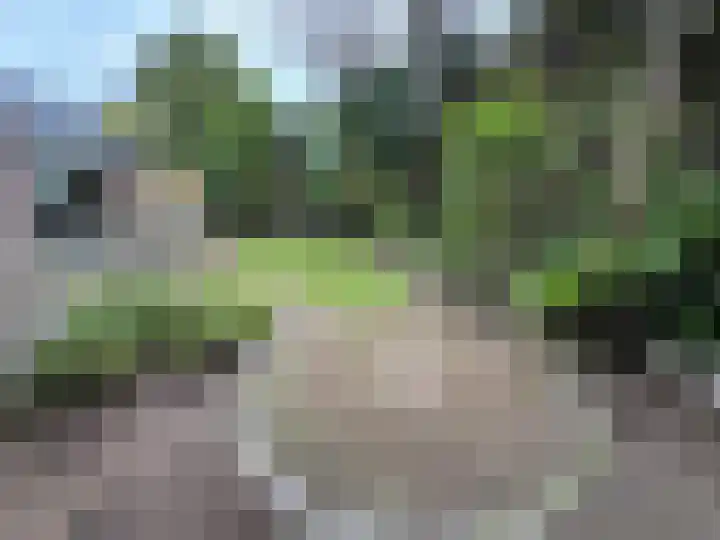 Nieuwe Es 18 Borne thumbnail 23