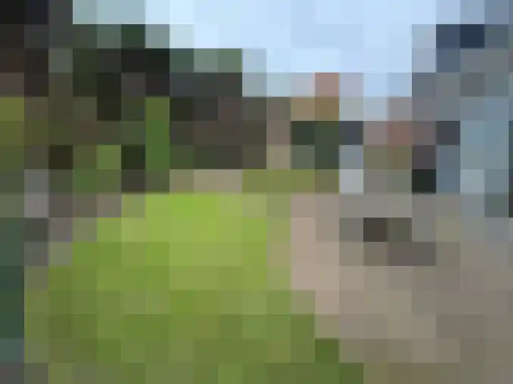 Nieuwe Es 18 Borne thumbnail 24