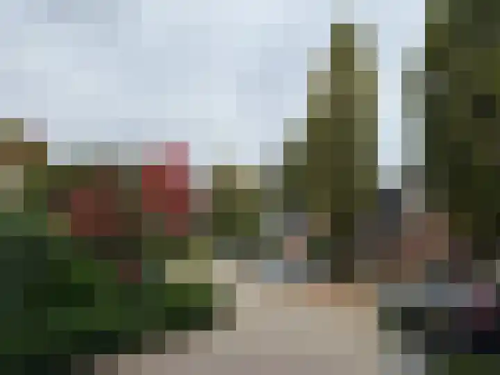 Nieuwe Es 18 Borne thumbnail 29