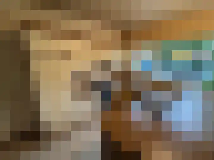 Nieuwe Es 18 Borne thumbnail 7