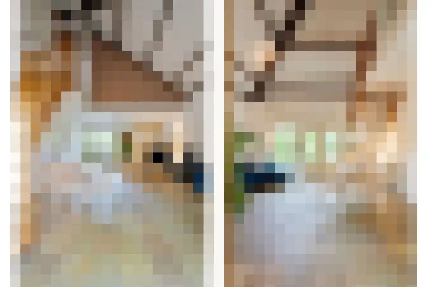 Nieuwe Es 21 Borne thumbnail 10
