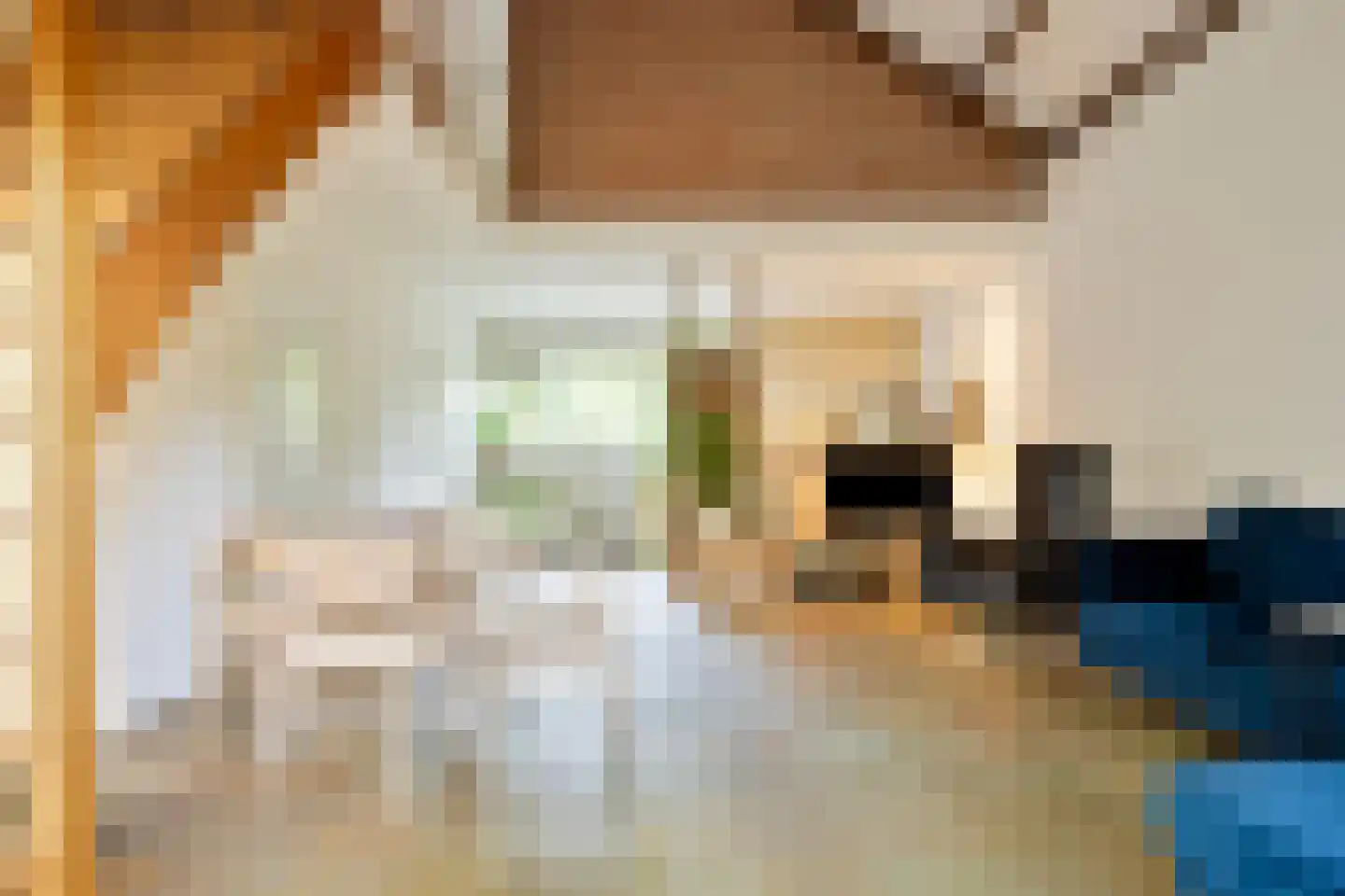 Nieuwe Es 21 Borne thumbnail 11