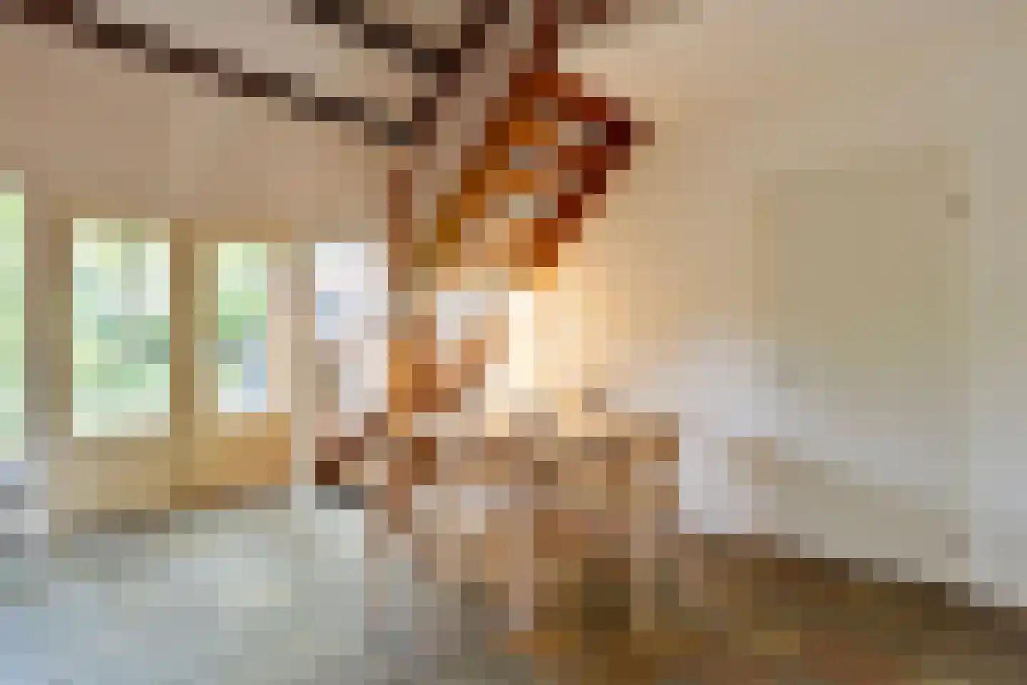 Nieuwe Es 21 Borne thumbnail 12