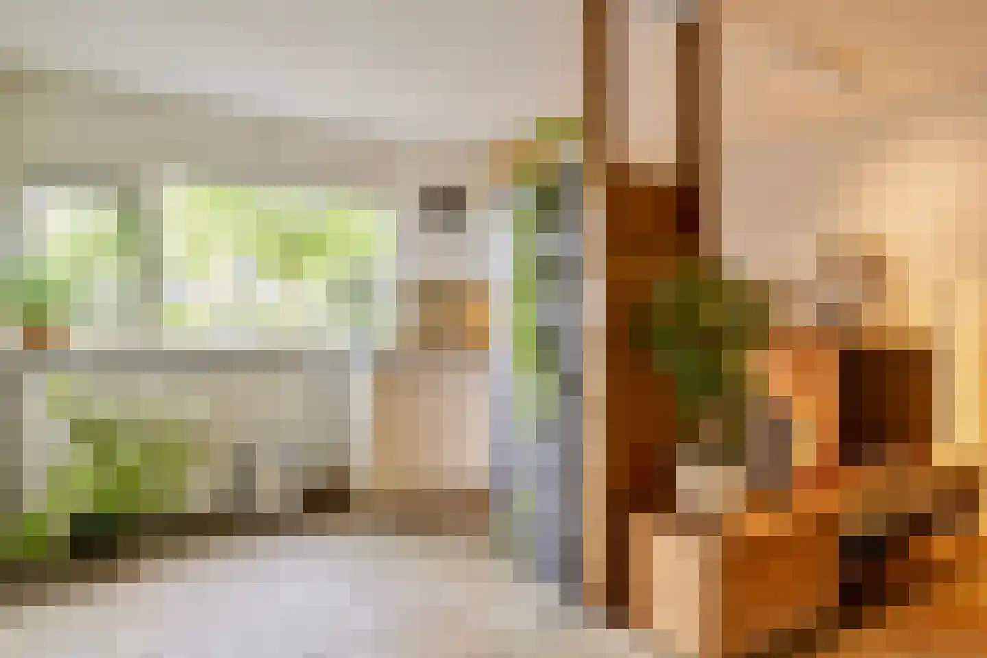 Nieuwe Es 21 Borne thumbnail 13