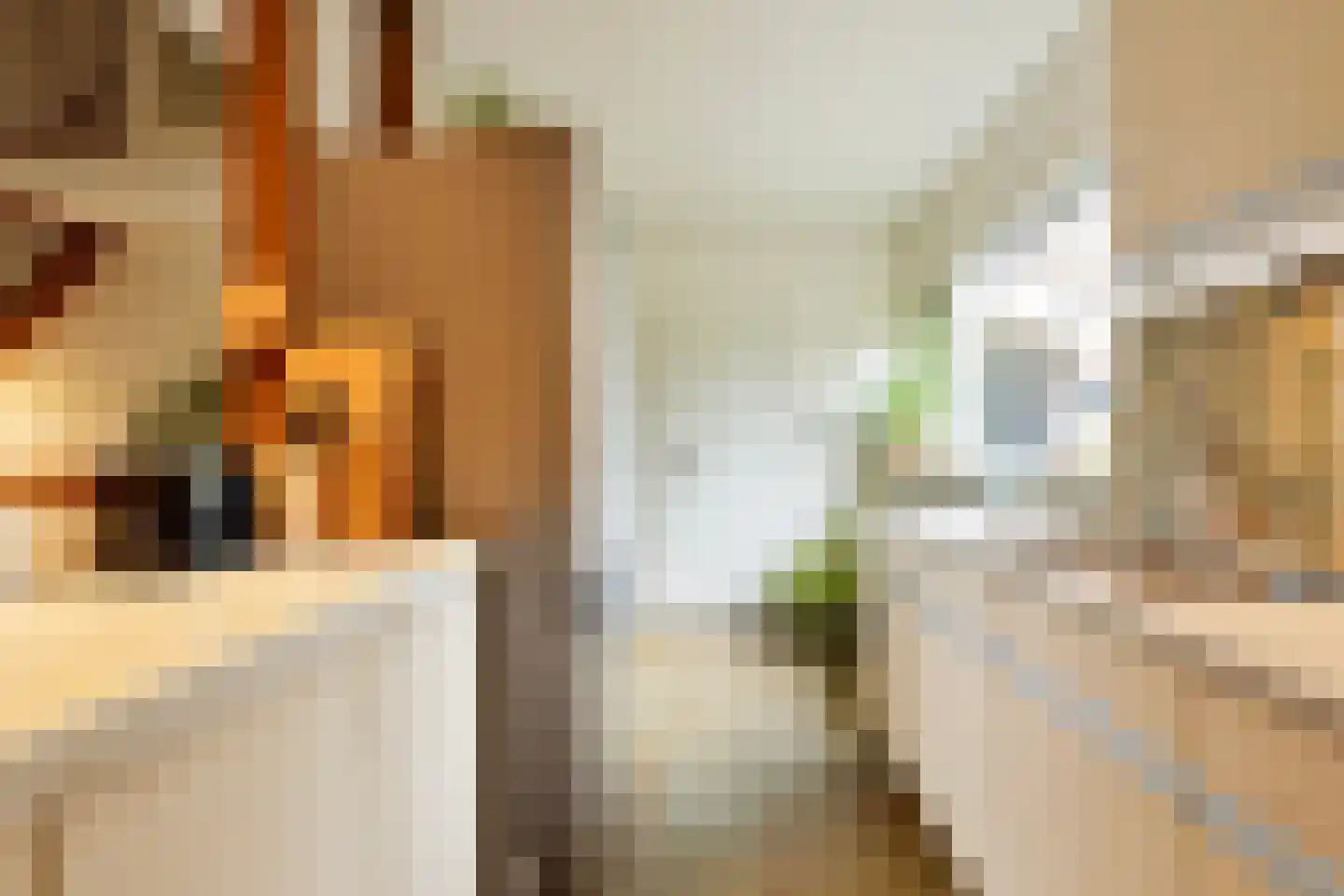 Nieuwe Es 21 Borne thumbnail 14