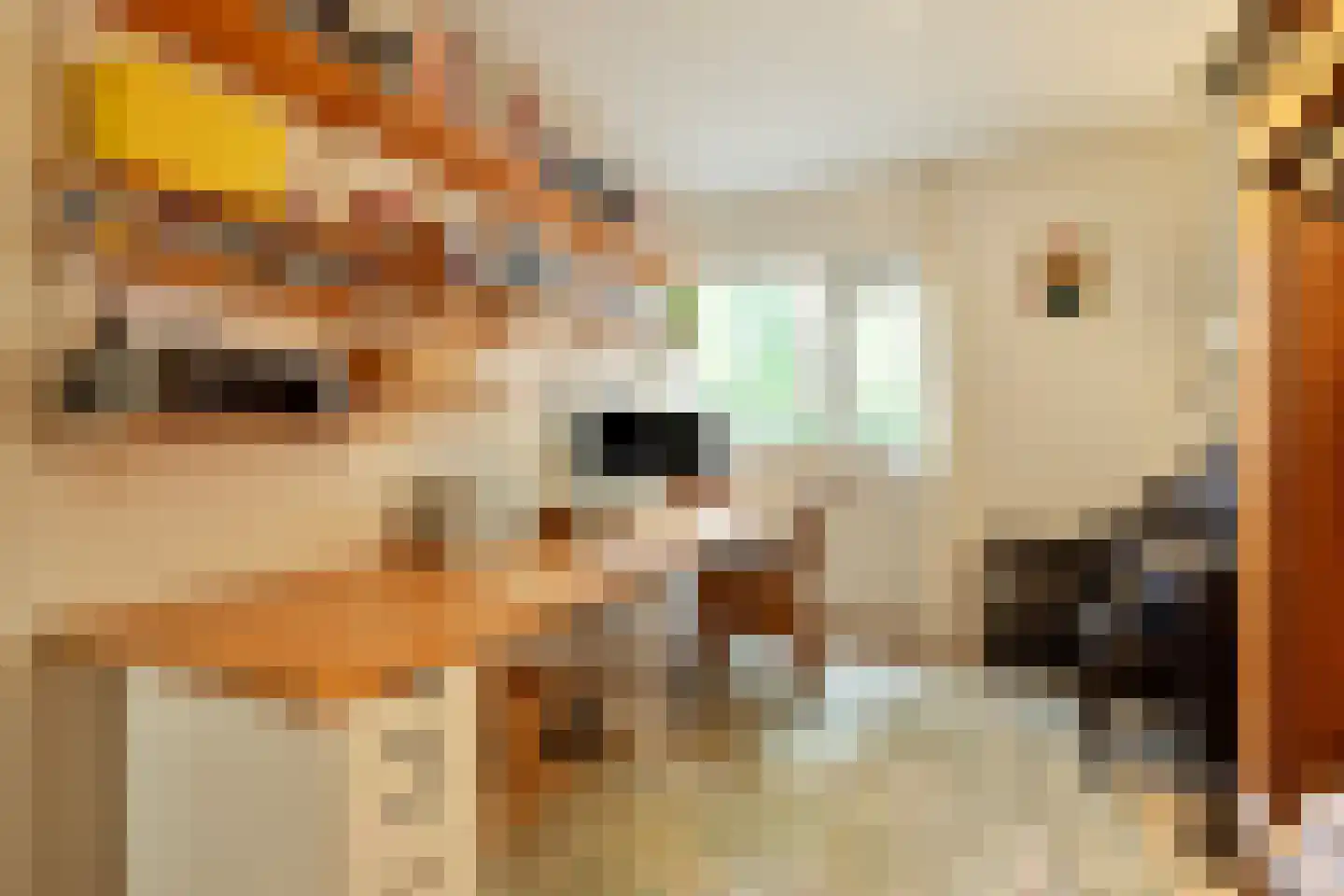 Nieuwe Es 21 Borne thumbnail 15