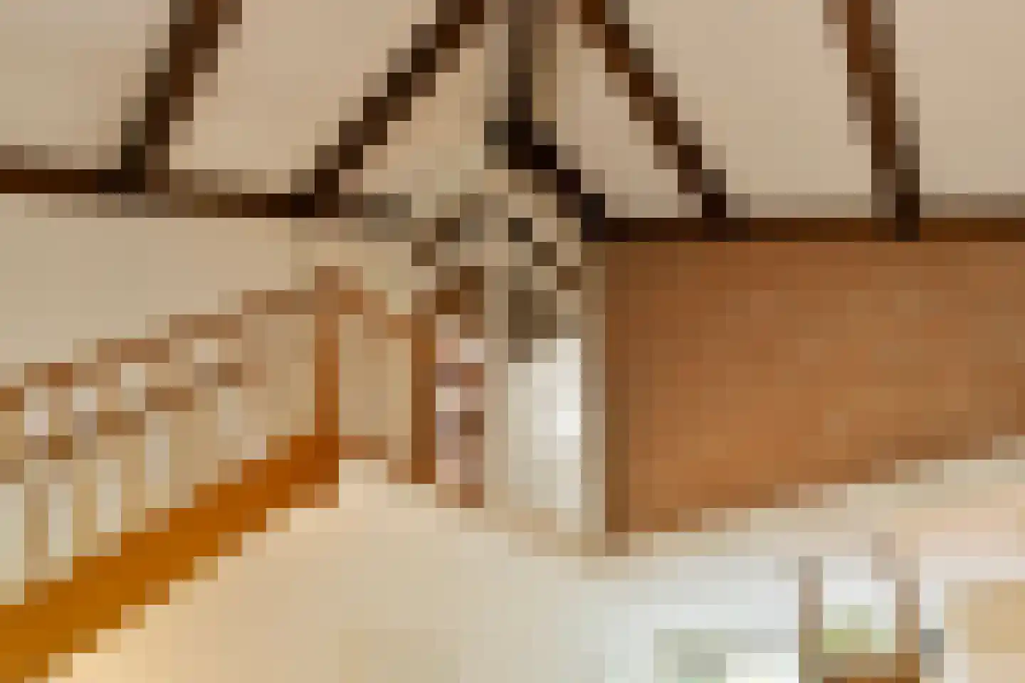 Nieuwe Es 21 Borne thumbnail 16