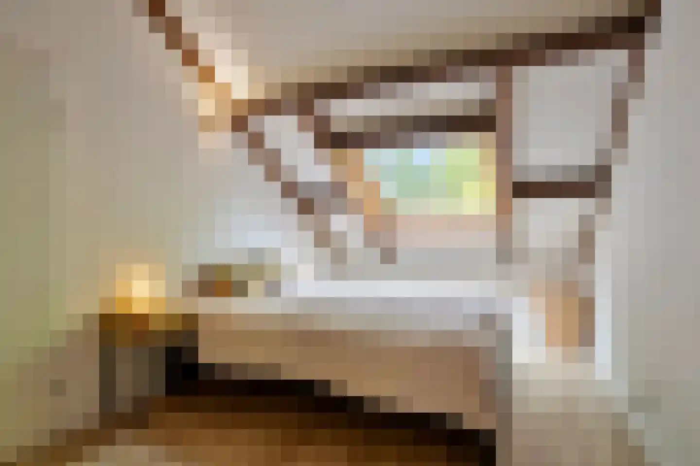 Nieuwe Es 21 Borne thumbnail 18